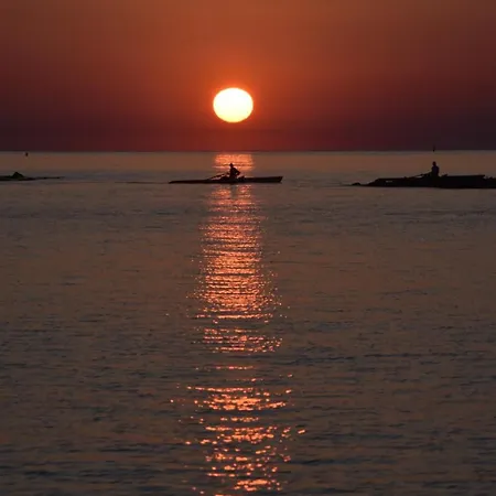 Sunny Rooftop In 91sqm Terrace Delight! *